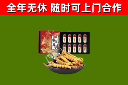 恩施回收冬虫夏草价格
